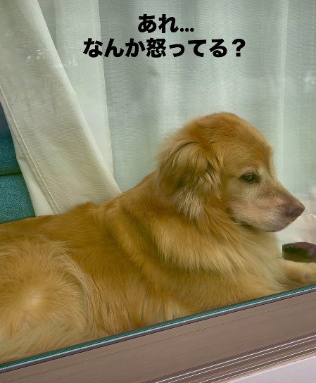ムスッとした表情…