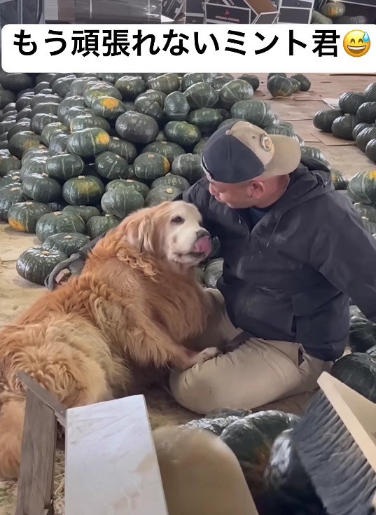 ミントくんを励ますパパ