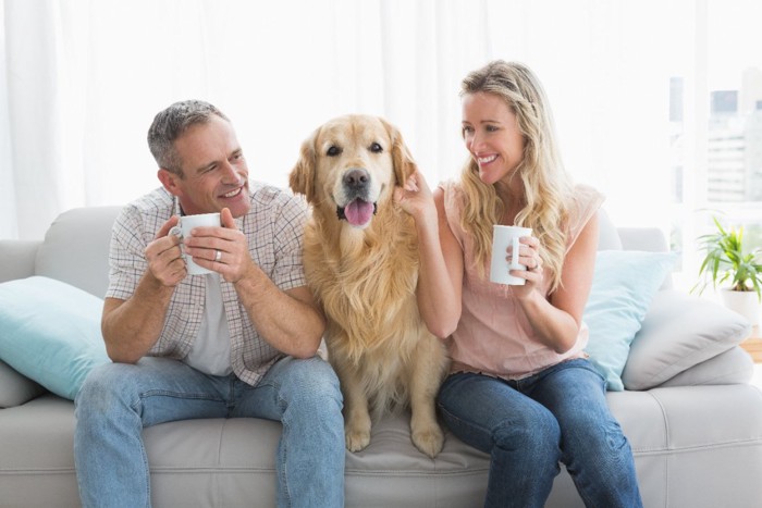 カップルの間に座る犬