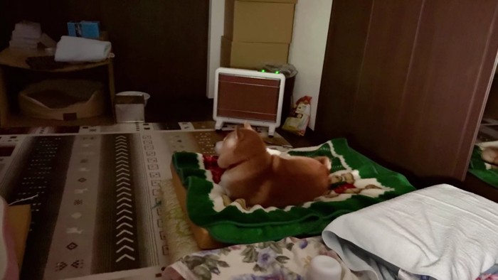 ふわふわの毛で保温されてる！