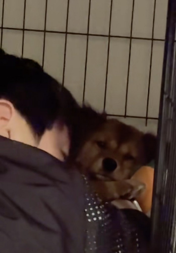 「入りすぎ…」