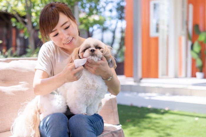 犬の目やにケアをする女性