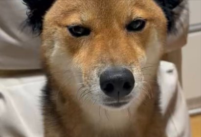 表情管理