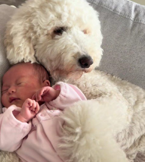 赤ちゃんのことも大好き