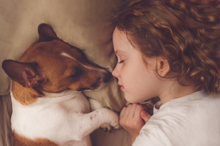 眠る子供と犬