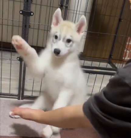 おて！