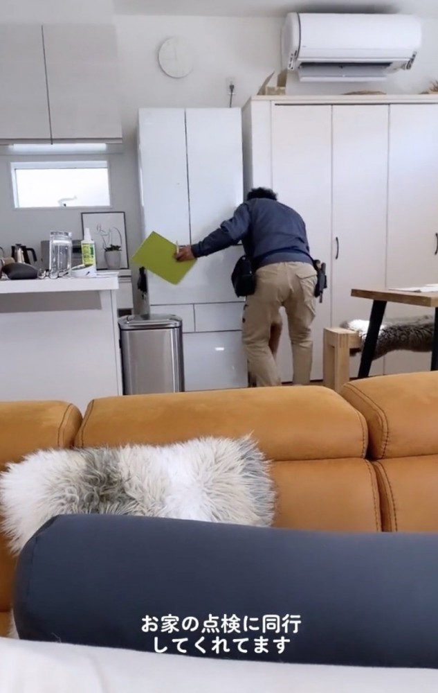 楽しそうすぎます