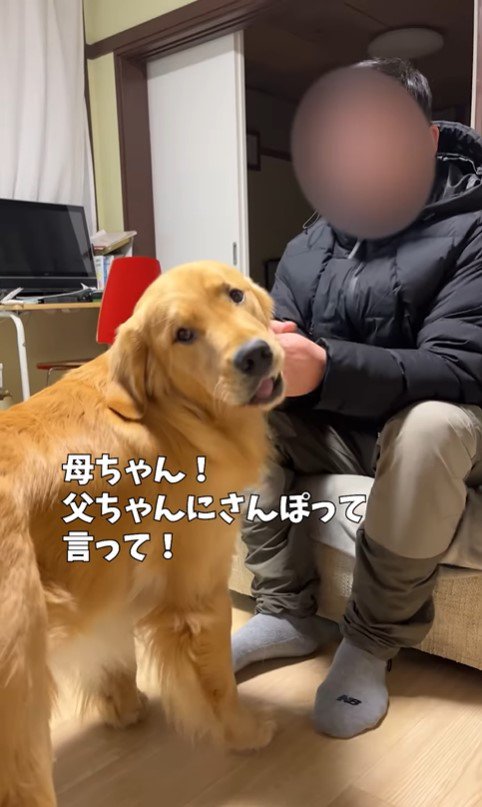アルトくんのお散歩催促9