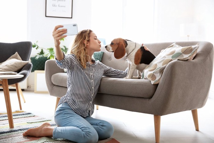 ソファーの上の飼い犬と写真を撮る女性