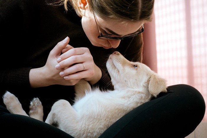 犬にキスしようとする女性