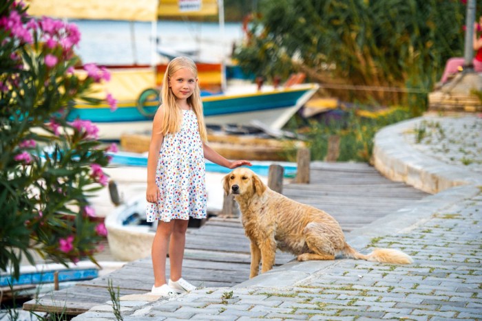 女の子と路上の野良犬