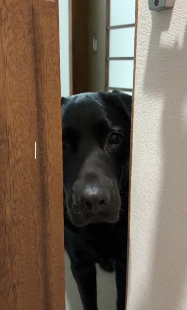 「僕を置いてくの…？」