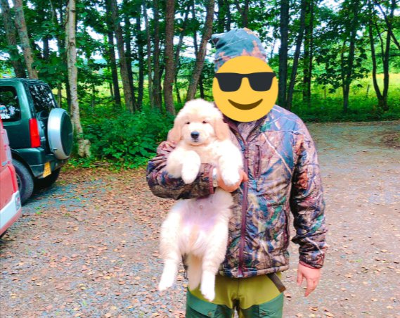 お迎え当時