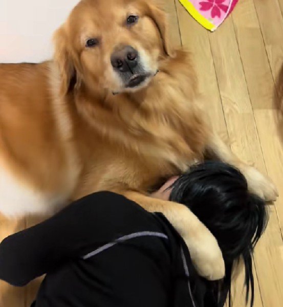 必死に庇うも…