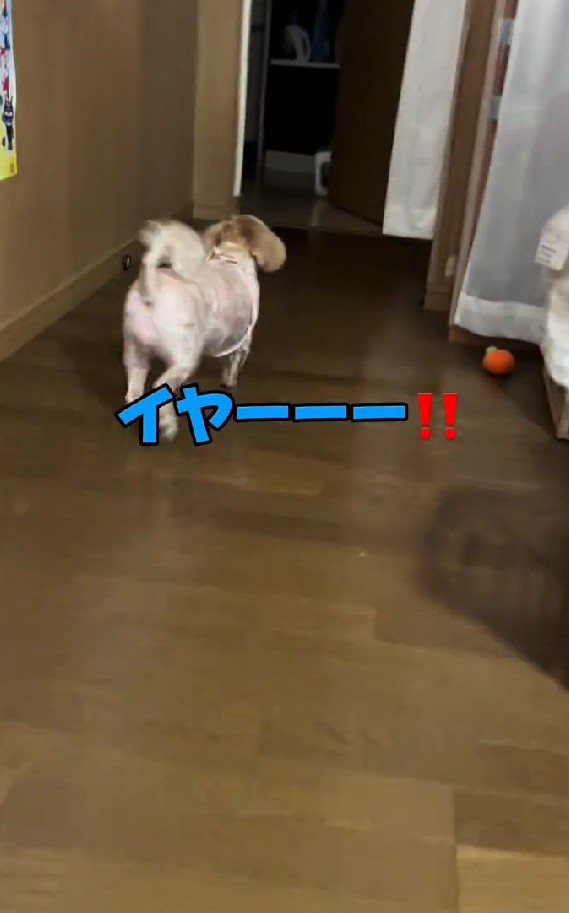 ちょっぴり恥ずかしい！？