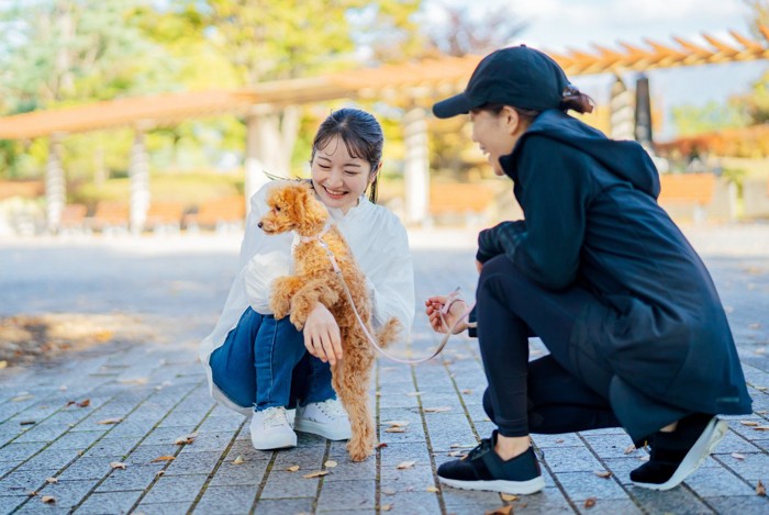 犬と仲良く