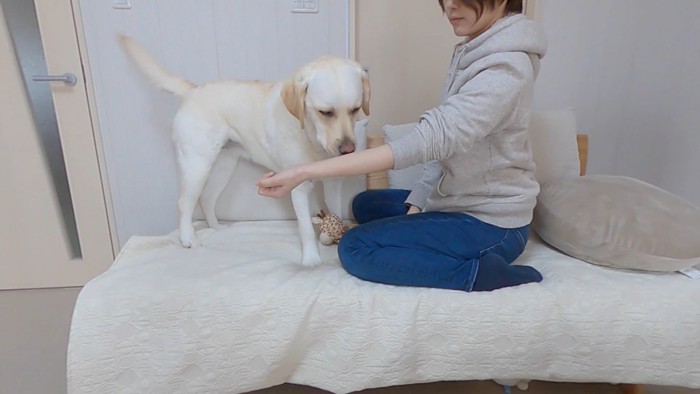 きなこちゃんとママさんの再会6