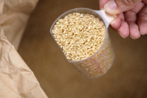 玄米の入った計量カップ