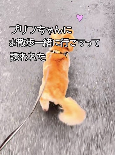 嬉しすぎて、軽快に歩いてます