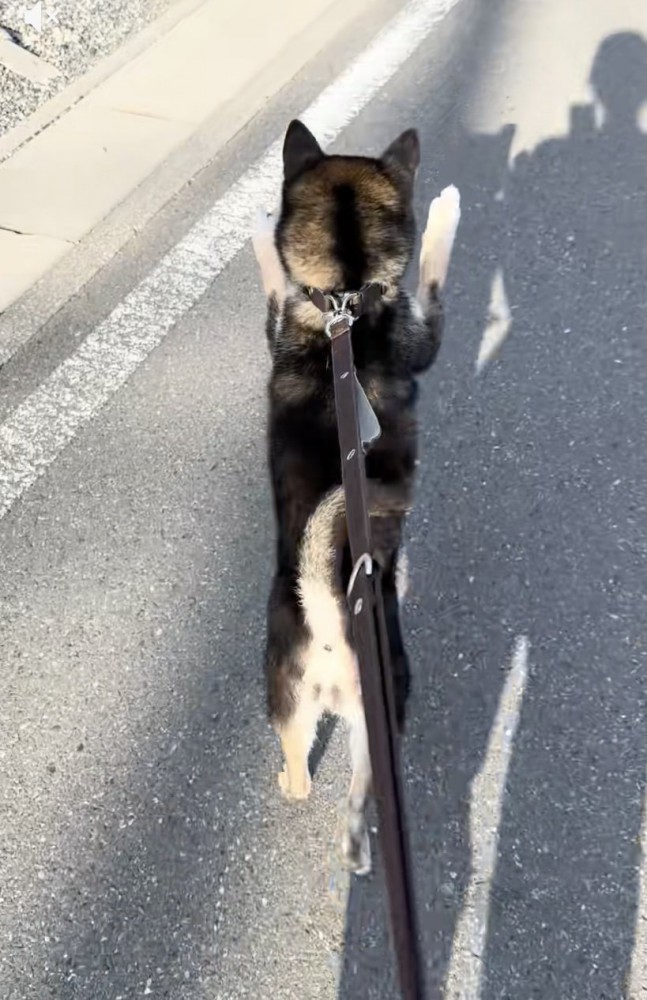 大好きなおじいちゃんと遭遇
