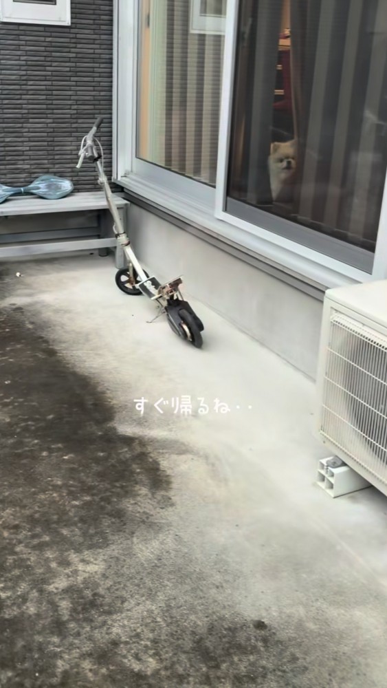 見つめる犬を置いて出かける飼い主さん