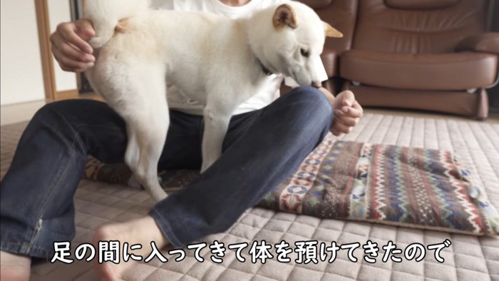 「寂しかったよ~!」と飼い主さんのもとへ