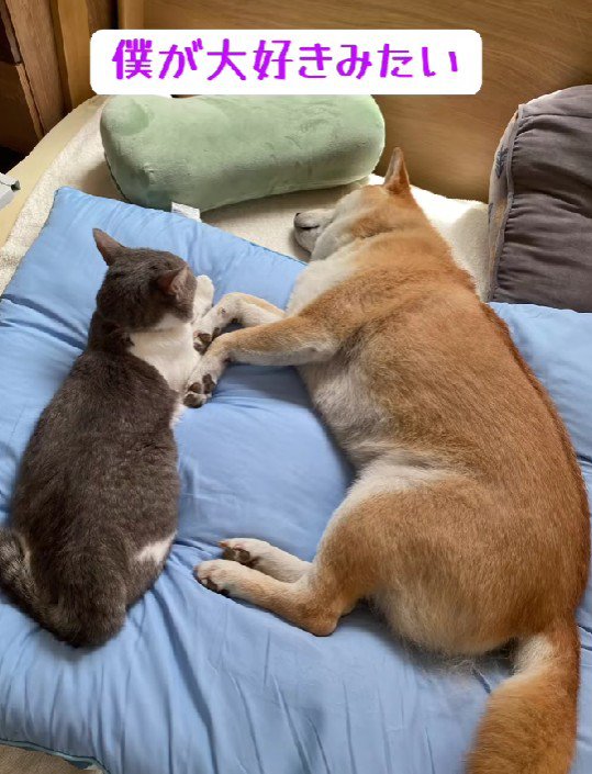 これからも元気に育ってね!