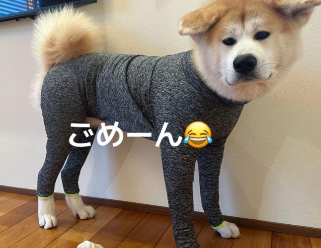 小さすぎる服に爆笑♪