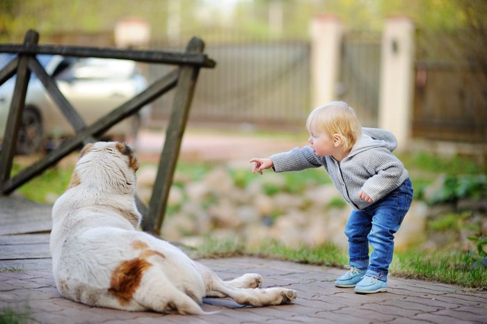 指さしている子どもと大型犬