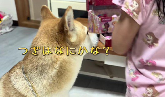 「次はどんなのがくるかな？」