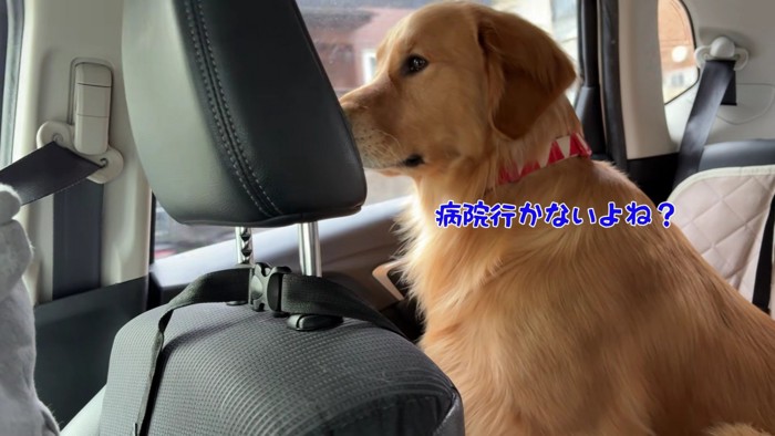 車でお出かけへ