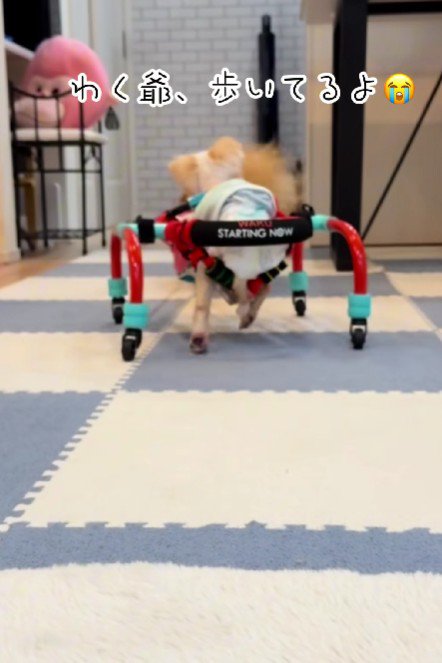 しっかりと足を動かします