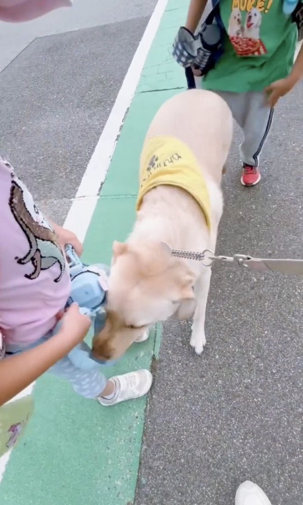 癒しの空間が生まれました…！