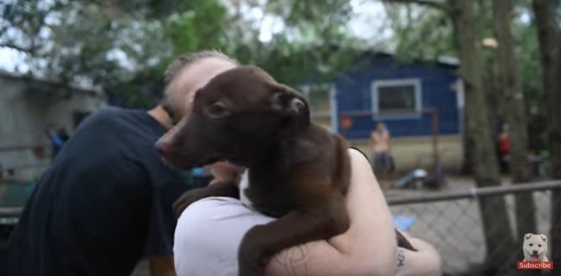 犬を抱える女性1