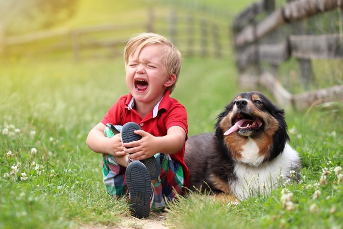 泣く子どもと犬