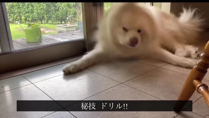 体ブルブルで教育！