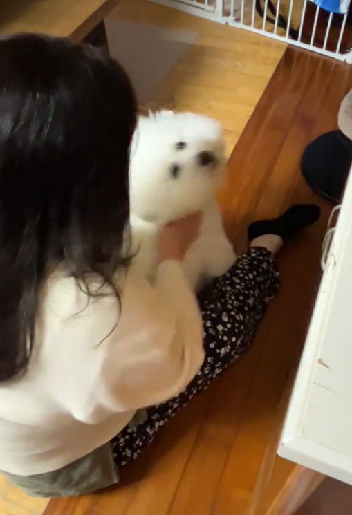 RAUくんの熱烈大歓迎9