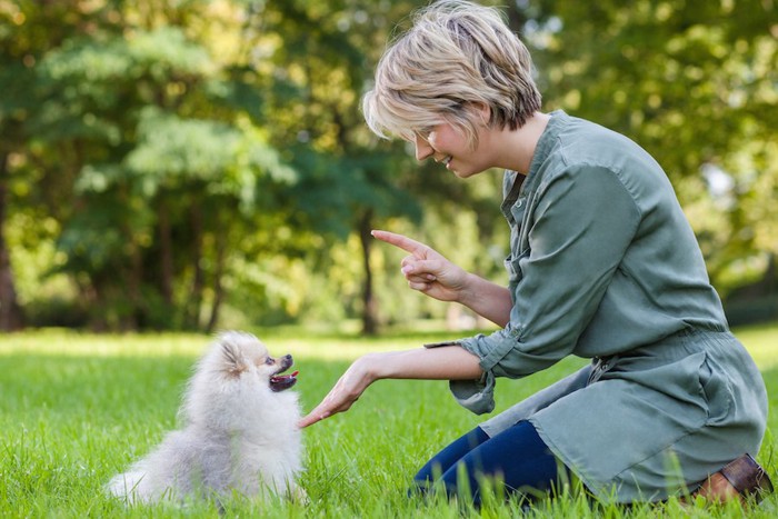 子犬にしつけをしている女性