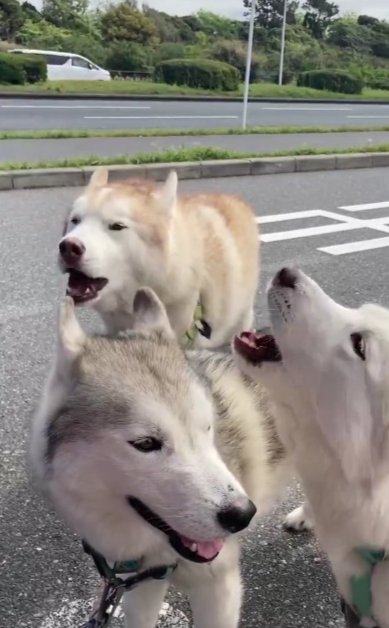 救急車をサポート