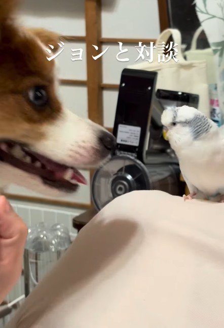 楽しそうにおしゃべり