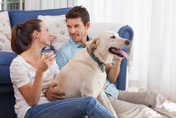 部屋でくつろぐ犬とカップル