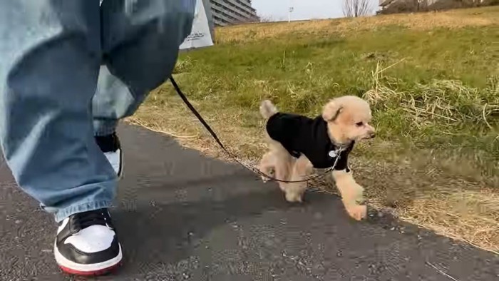 歩く男性と犬