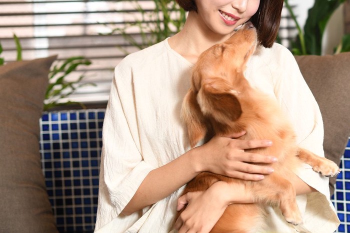 甘える犬