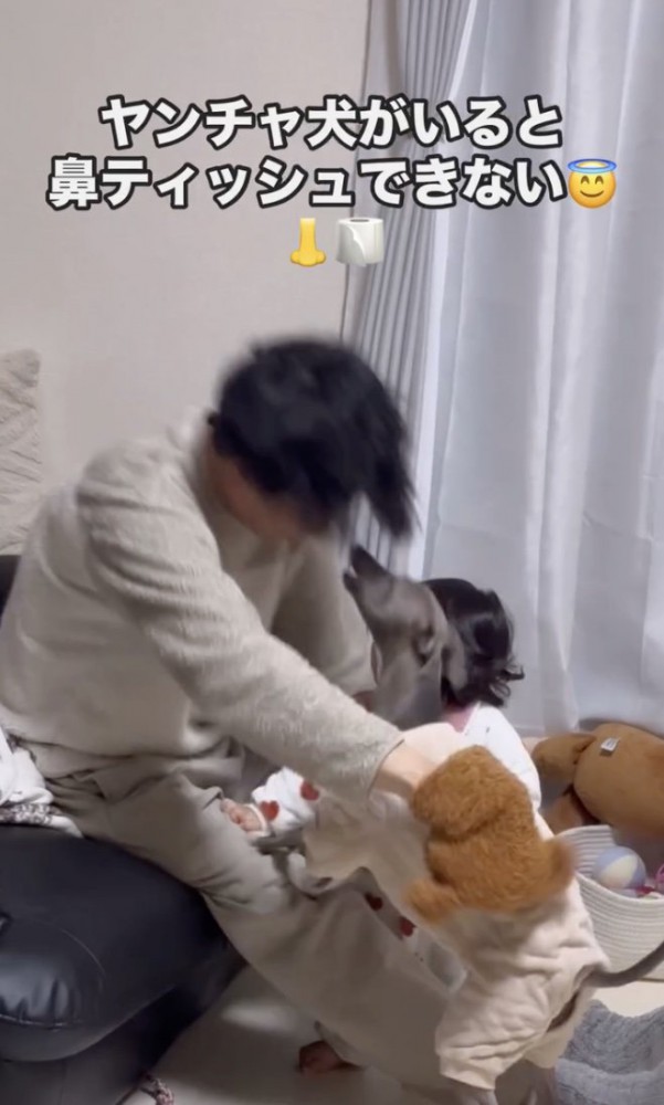 狩猟本能全開