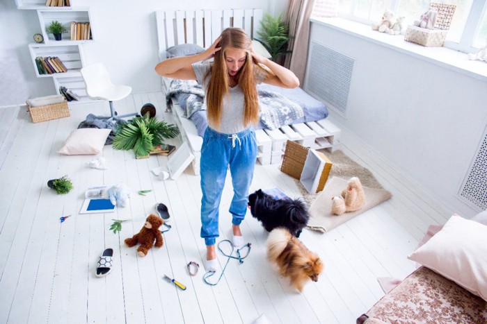 犬のいたずらに頭をかかえる女性