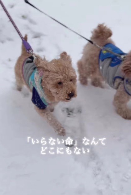 「いらない命なんてない」