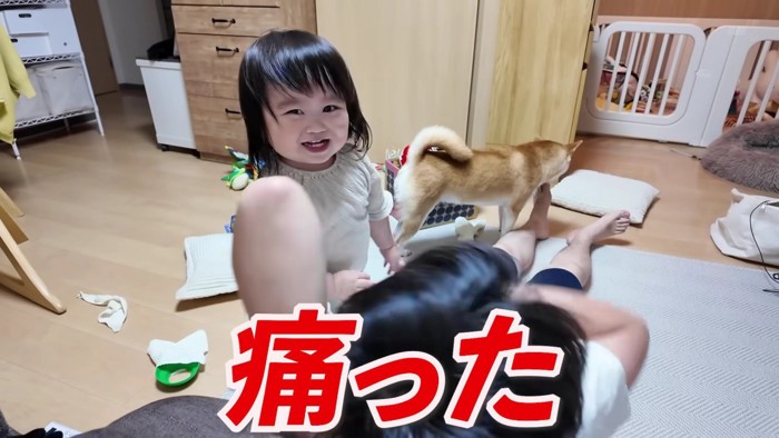 みいちゃんが登場！！