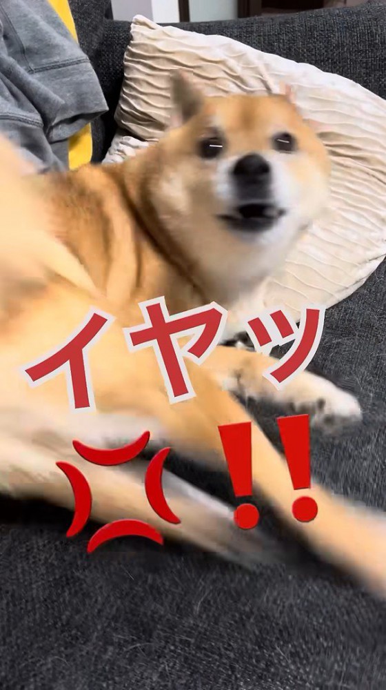 断られました!