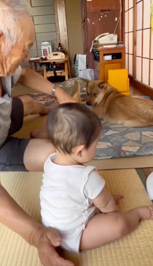 犬のスペースから赤ちゃんを引き離す男性