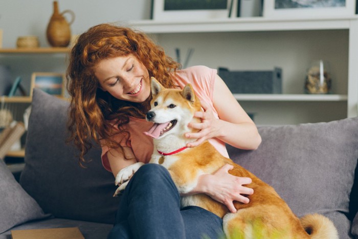 柴犬を撫でる女性